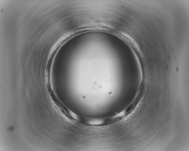 X0000059241188200510171423