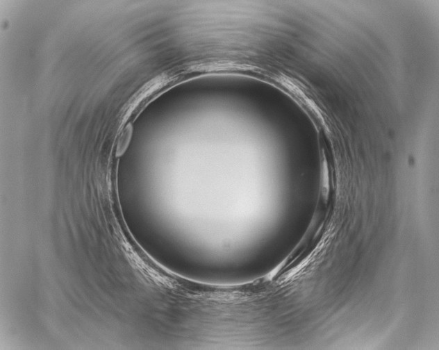 X0000059241189200510171423