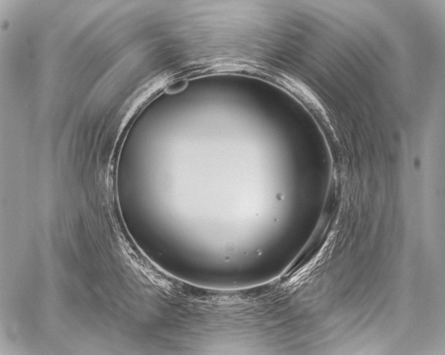 X0000059241190200510171423