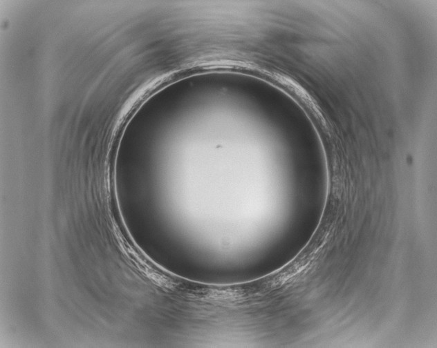 X0000059241191200510171423