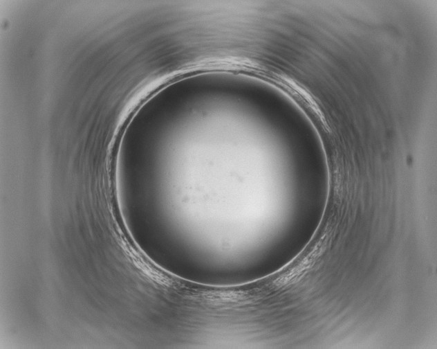 X0000059241192200510171423