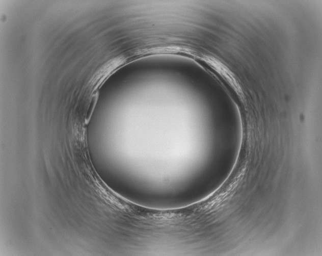 X0000059241193200510171423