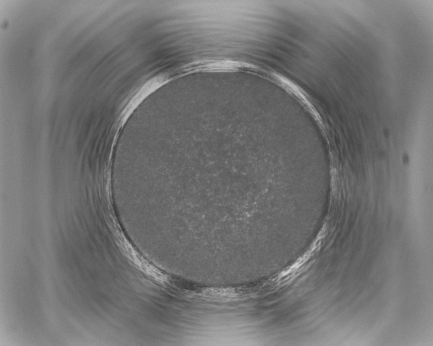 X0000059241194200510171423