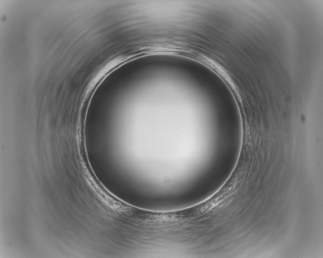 X0000059241195200510171423