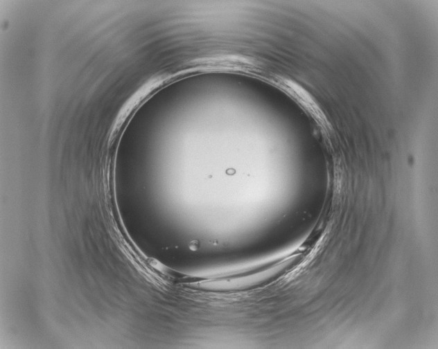 X0000059241196200510171423