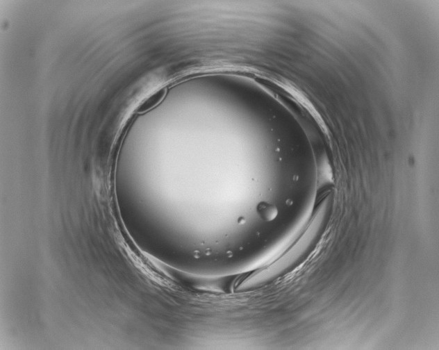 X0000059241197200510171423