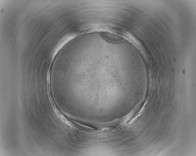 X0000059241198200510171423