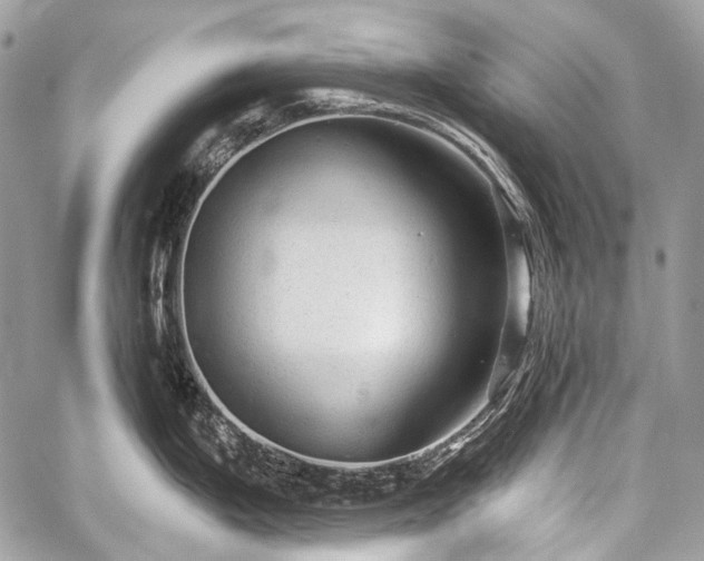 X0000059241199200510171423