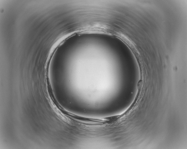 X0000059241200200510171423