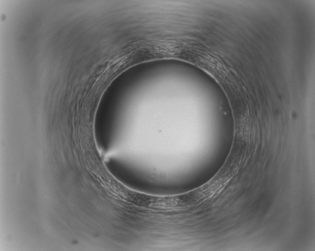 X0000059241201200510171422