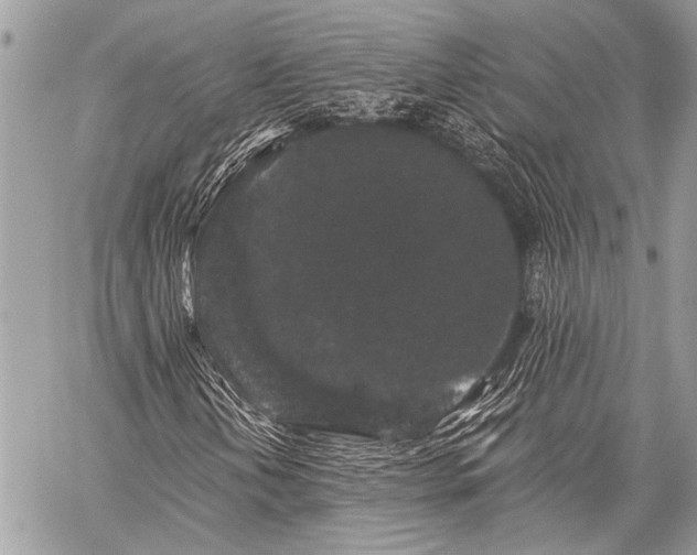 X0000059241202200510171422