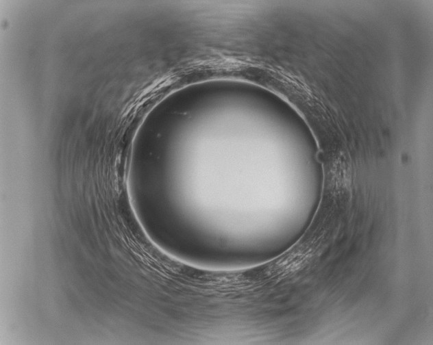 X0000059241205200510171422