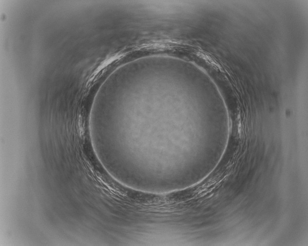 X0000059241206200510171422