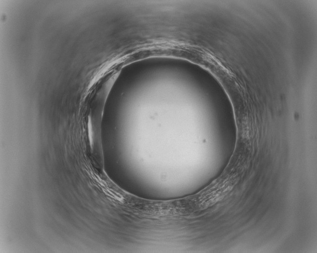 X0000059241208200510171422