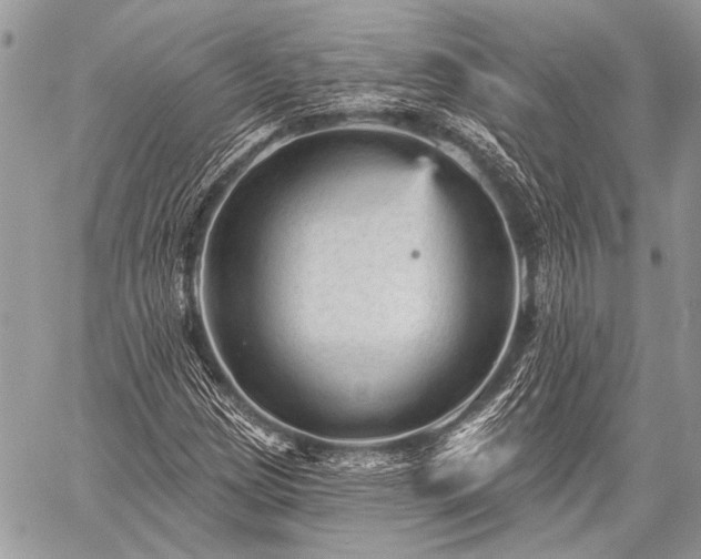 X0000059241209200510171422