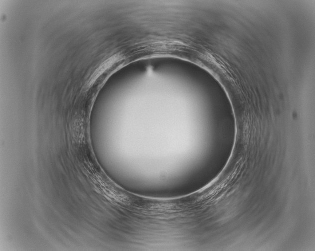 X0000059241211200510171422