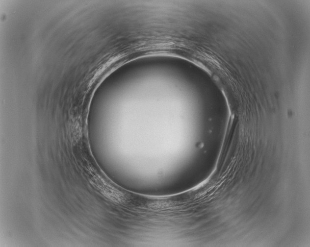 X0000059241212200510171422