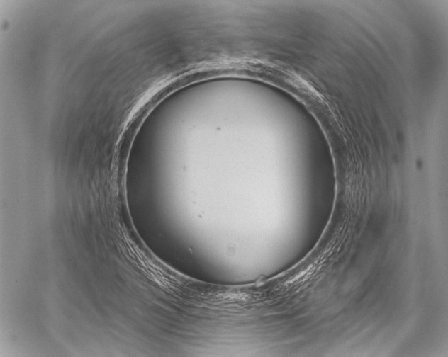 X0000059241216200510171422