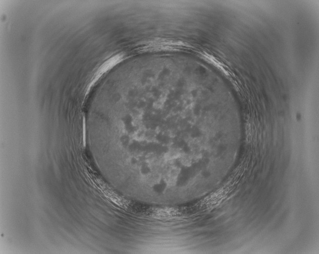 X0000059241219200510171422