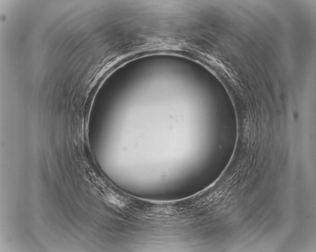 X0000059241220200510171422