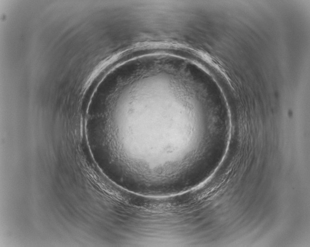 X0000059241221200510171422