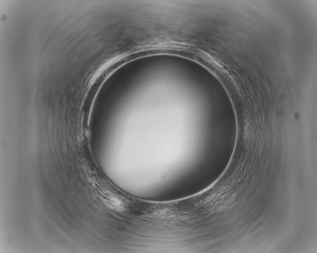 X0000059241222200510171422