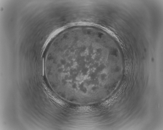 X0000059241223200510171422