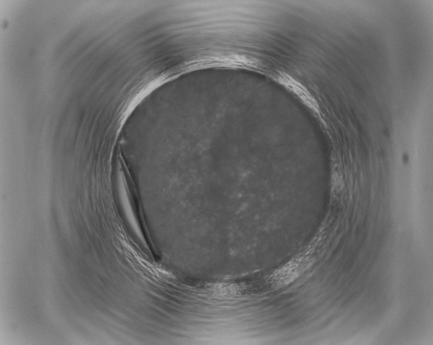 X0000059241226200510171422