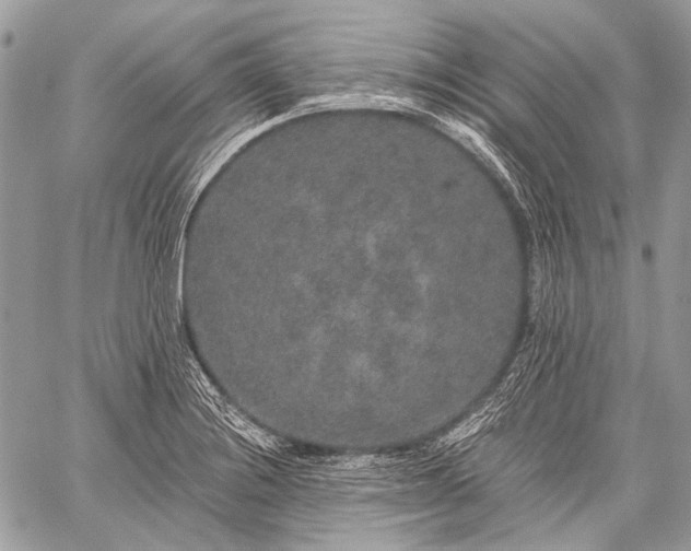 X0000059241228200510171423