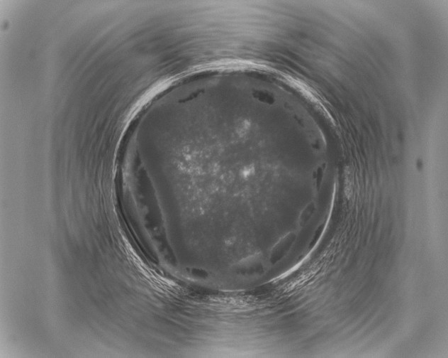 X0000059241229200510171423