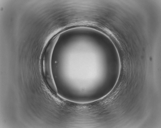 X0000059241230200510171423