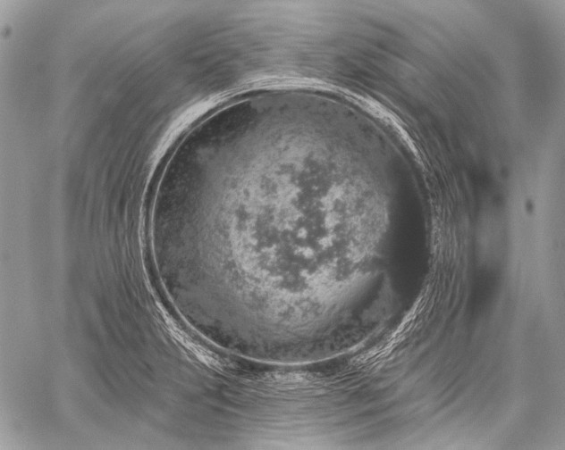 X0000059241231200510171423