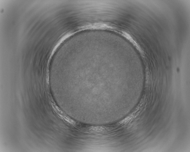 X0000059241232200510171423