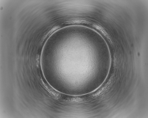 X0000059241233200510171423