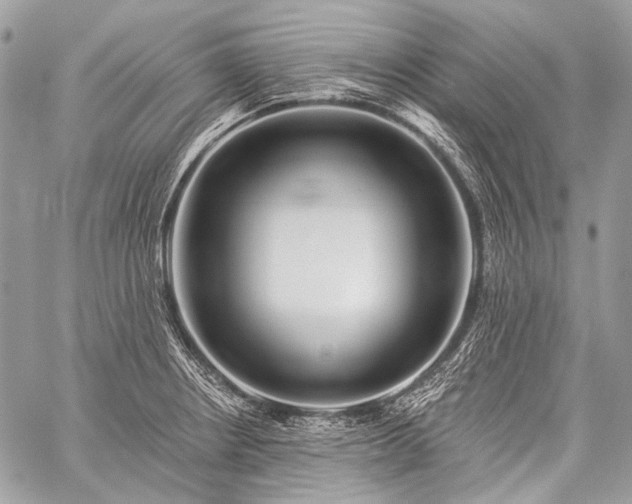 X0000059241234200510171423