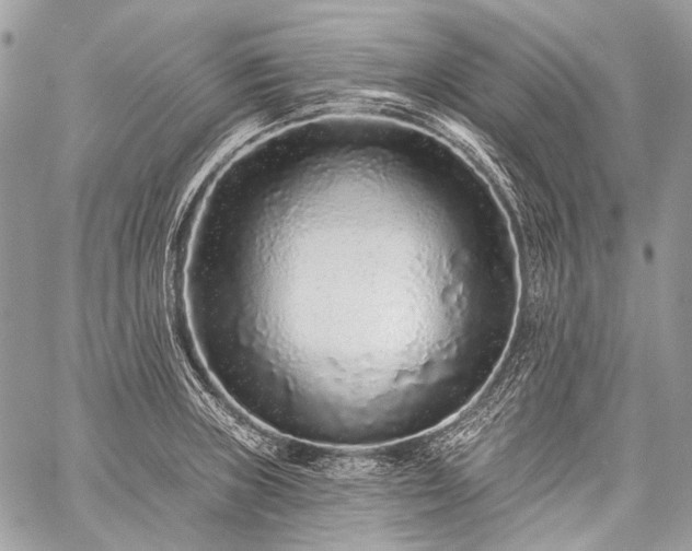 X0000059241235200510171423