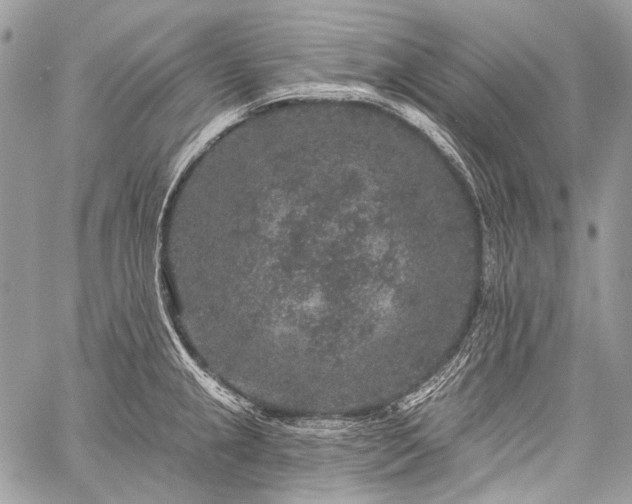 X0000059241237200510171423