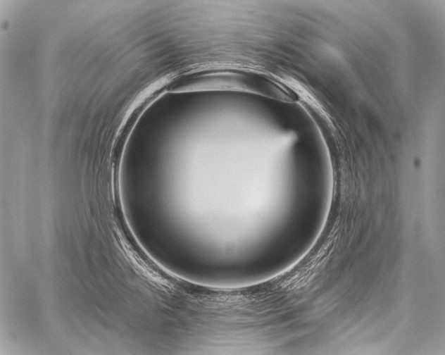 X0000059241238200510171423