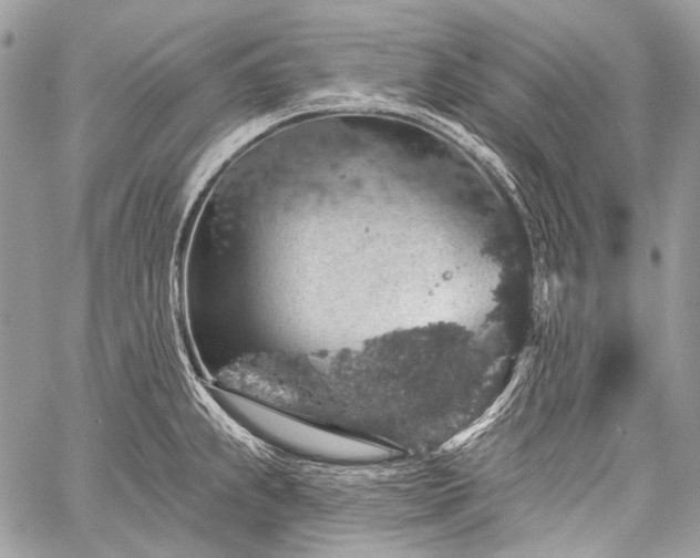 X0000059241239200510171423