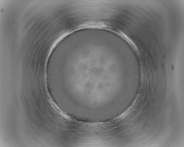 X0000059241240200510171423