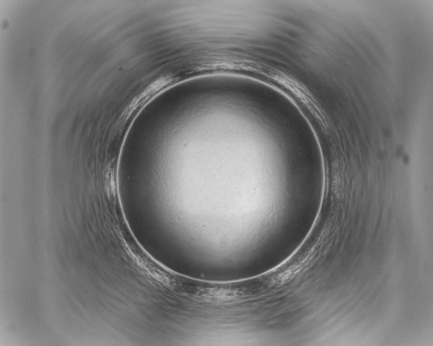 X0000059241241200510171423