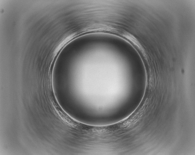 X0000059241242200510171423