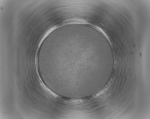 X0000059241243200510171423