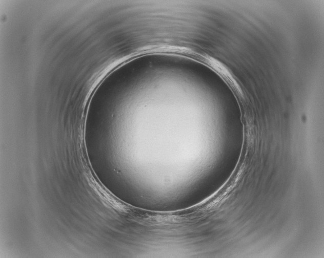 X0000059241244200510171423