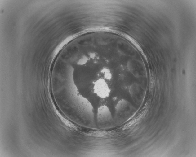 X0000059241245200510171423