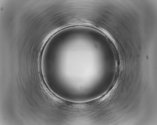 X0000059241246200510171423