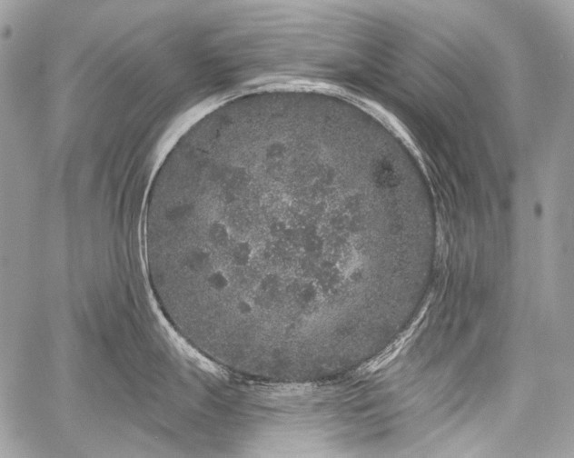 X0000059241247200510171423