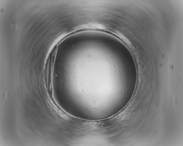 X0000059241248200510171423