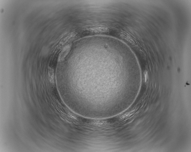 X0000059241251200510171422