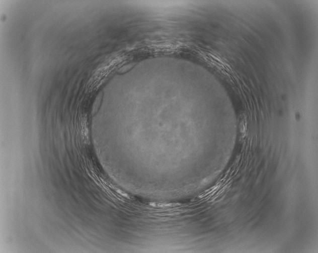 X0000059241252200510171422